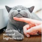 Richard’s Organics Hairball Remedy for Cats – Tuna Flavor, 4.25 oz.