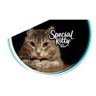Special Kitty Crunchy & Creamy Cat Treats, Salmon Flavor, 16 oz