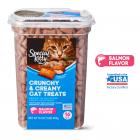 Special Kitty Crunchy & Creamy Cat Treats, Salmon Flavor, 16 oz