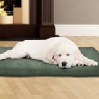 Dog Bed, 3 inch Foam Pet Bed-25.5" x 19"-Clay