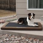 K&H Comfy N' Dry Indoor/Outdoor Pet Bed