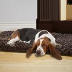 Dog Bed, Jumbo Cushion Pillow Pet Bed - Chocolate