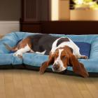 Dog Bed 43"x29" Plush Cozy Pet Bed - Blue