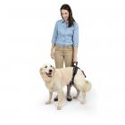 PetSafe Lifting Aid Rear Only Large