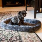 MidWest Homes For Pets QuietTime Plush Bolster Dog Bed / Ideal for Dog Crates