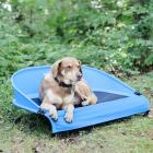 Cool-Air Cot Pet Bed, Large, Trailblazer Blue