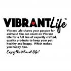 Vibrant Life 4-in-1 Dog Shampoo, Vanilla Coconut, 24 fl oz