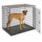 Giant Dog Crate 54-Inch for XXL Dog Breeds