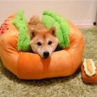 Moaere Hot Dog Design Couch Pet Dog Bed Kennel Cat Nest Ultra Cotton Lounge Sofa Dog House Pet Basket Removable and Washable Pet Cushion Mat for Winter