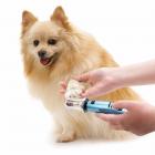 Oster Animal Care Gentle Paws Premium Pet Nail Trimmer (78129-501)
