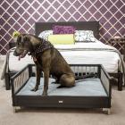 ecoFLEX Raised Dog Bed with Memory Foam Cushion, Espresso, Exta Large