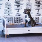 ecoFLEX Raised Dog Bed with Memory Foam Cushion, Espresso, Exta Large