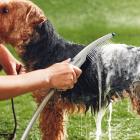Waterpik Pet Wand Dog Shower