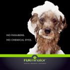 FURminator Frequent Use Ultra Premium Shampoo for Dogs, 16 oz