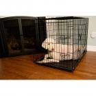 Iconic Pet 36" Foldable Double Door Pet Dog Cat Training Crate with Divider
