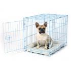 Carlson Compact and Secure Deluxe Metal Dog Crate